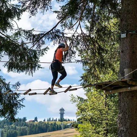 Ferienwohnungen Kehrwieder Todtnauberg Exterior photo