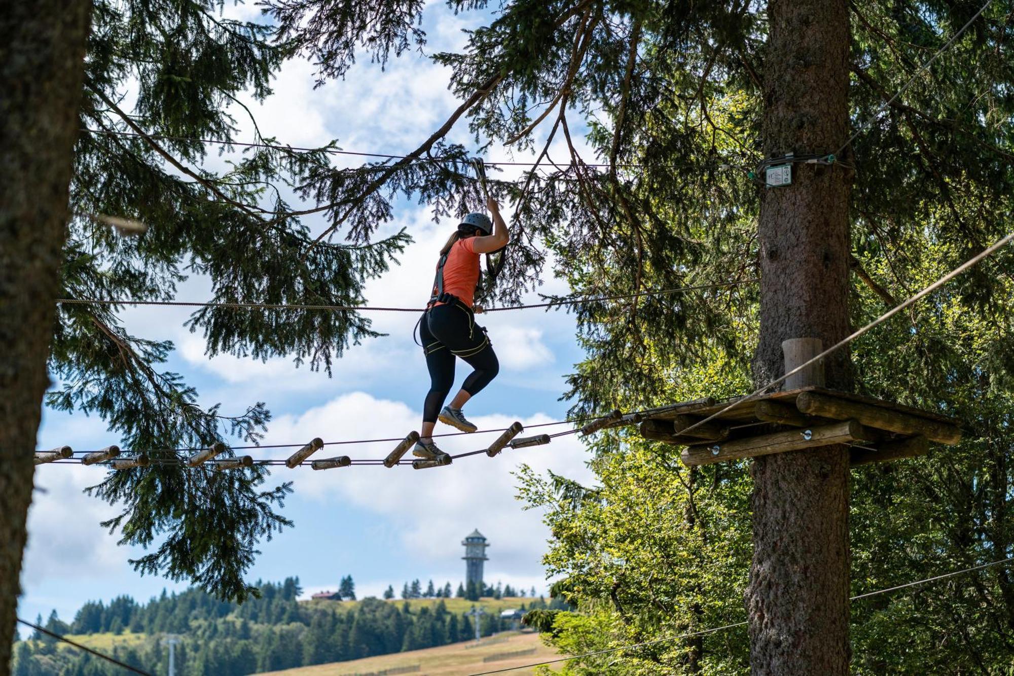 Kehrwieder Appartement Todtnauberg
